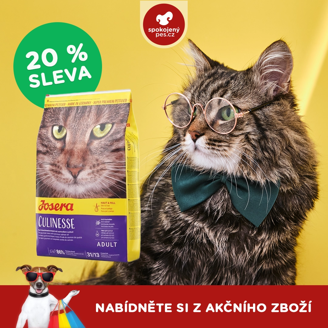 JOSICAT OPRAVA.webp